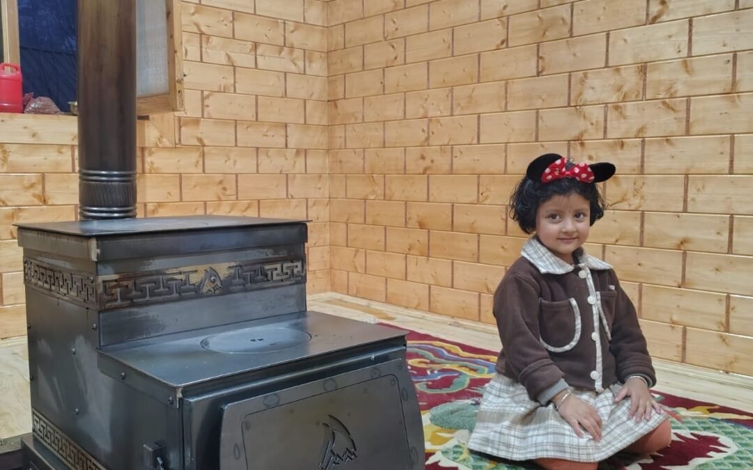 How I Ended Up Buying a Wood Burning Stove Online (And Why I’m Glad I Did)