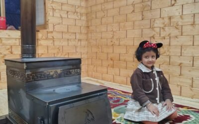 How I Ended Up Buying a Wood Burning Stove Online (And Why I’m Glad I Did)